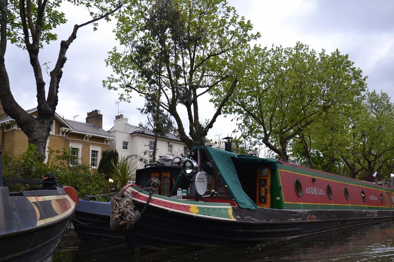 DSC_0491 (Kopiowanie).JPG