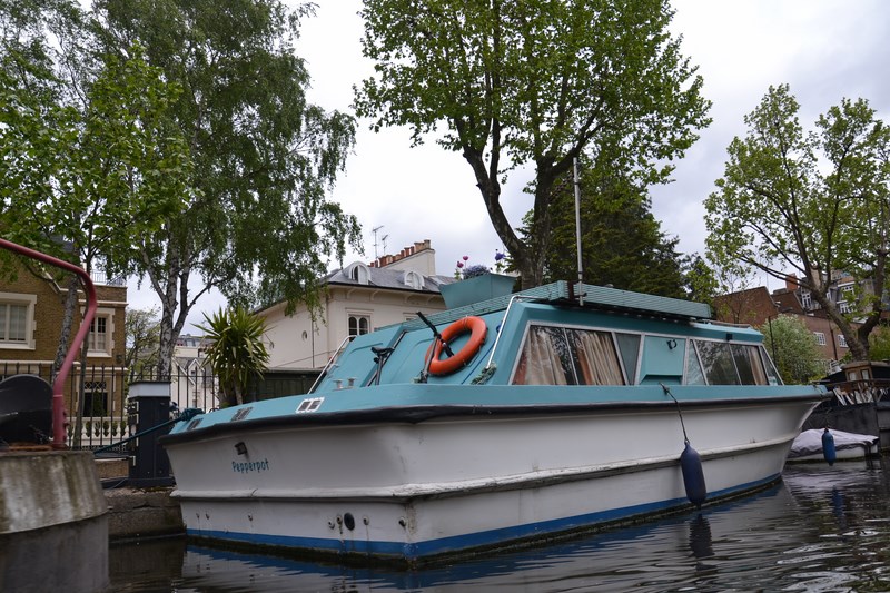 DSC_0496 (Kopiowanie).JPG