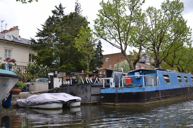 DSC_0497 (Kopiowanie).JPG