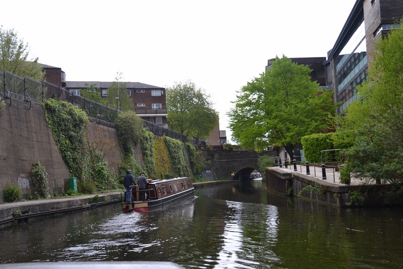 DSC_0505 (Kopiowanie).JPG