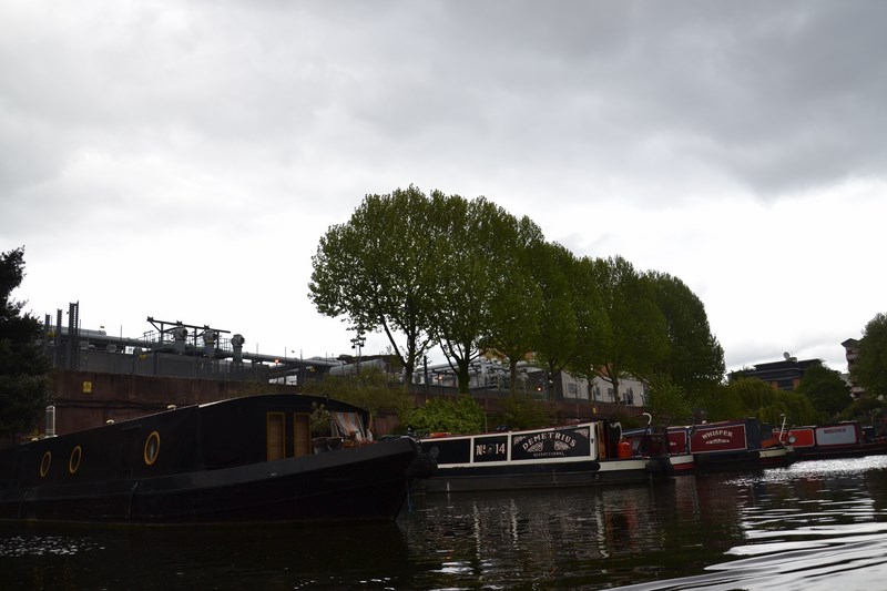 DSC_0516 (Kopiowanie).JPG