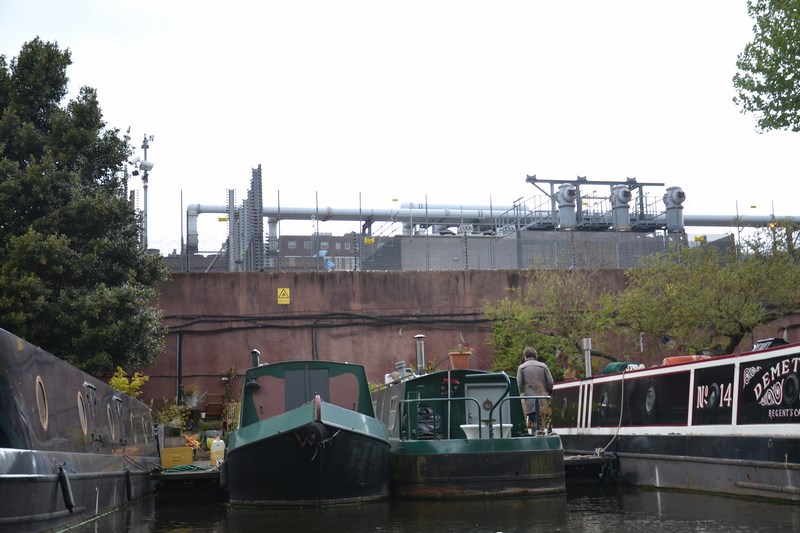 DSC_0517 (Kopiowanie).JPG