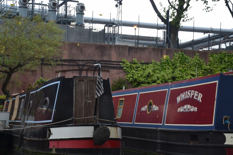 DSC_0519 (Kopiowanie).JPG