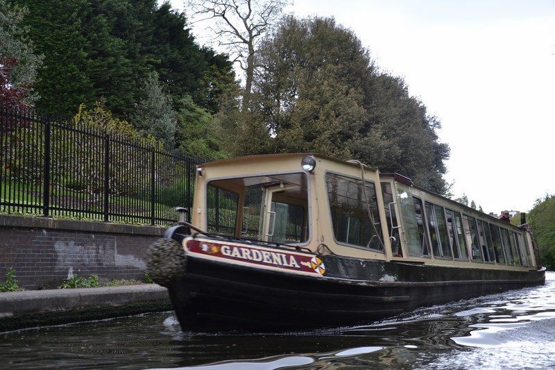 DSC_0527 (Kopiowanie).JPG