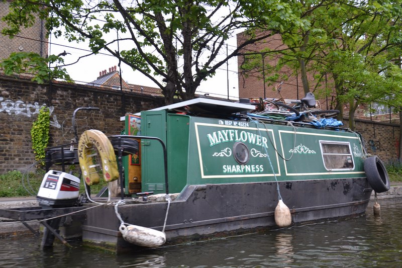 DSC_0556 (Kopiowanie).JPG