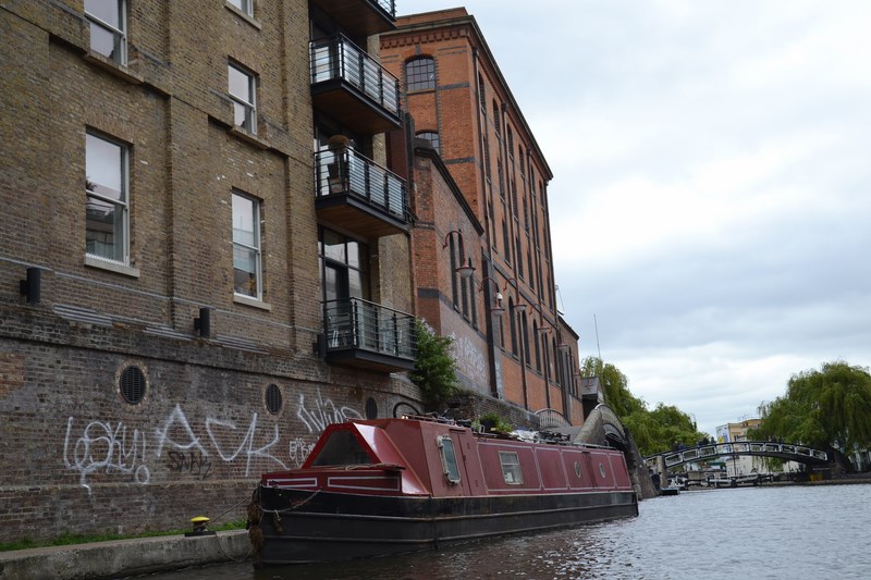 DSC_0560 (Kopiowanie).JPG