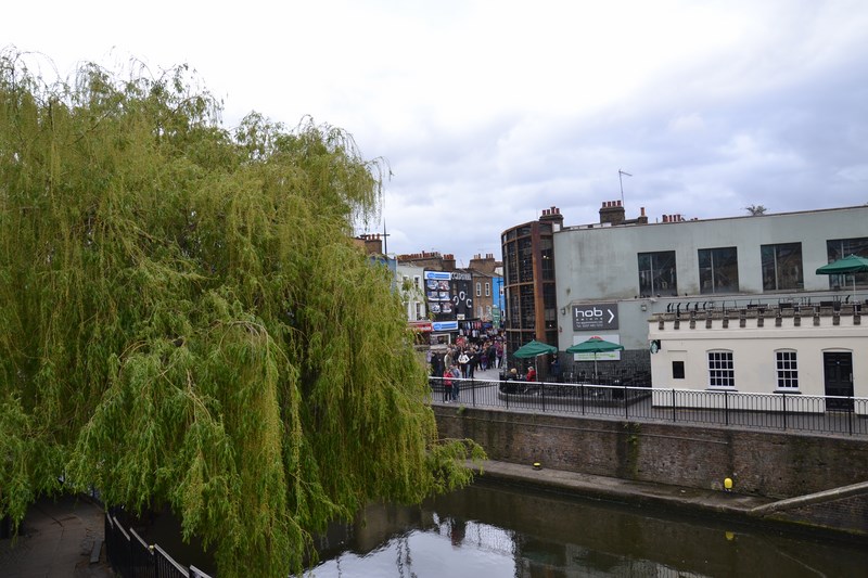 DSC_0588 (Kopiowanie).JPG