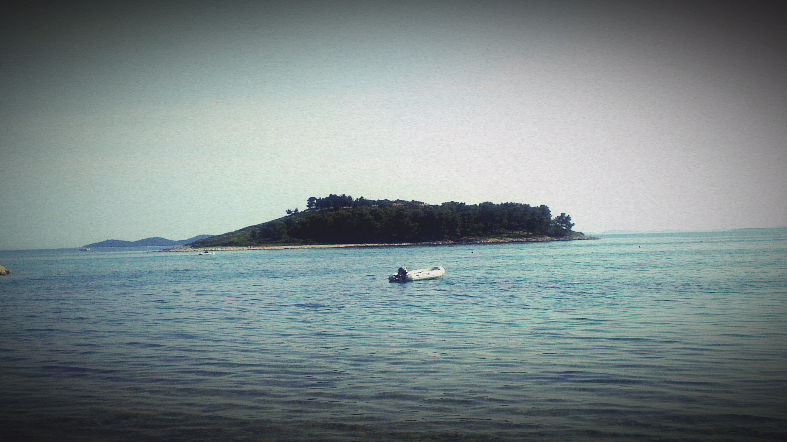 IMAG1207.jpg IMAG1207.jpg