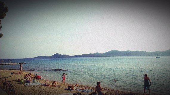 IMAG1225.jpg IMAG1225.jpg