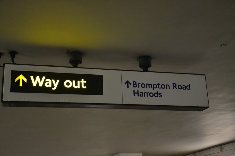 DSC_0645 (Kopiowanie).JPG