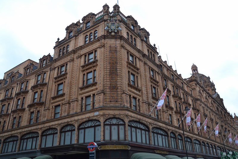 DSC_0649 (Kopiowanie).JPG