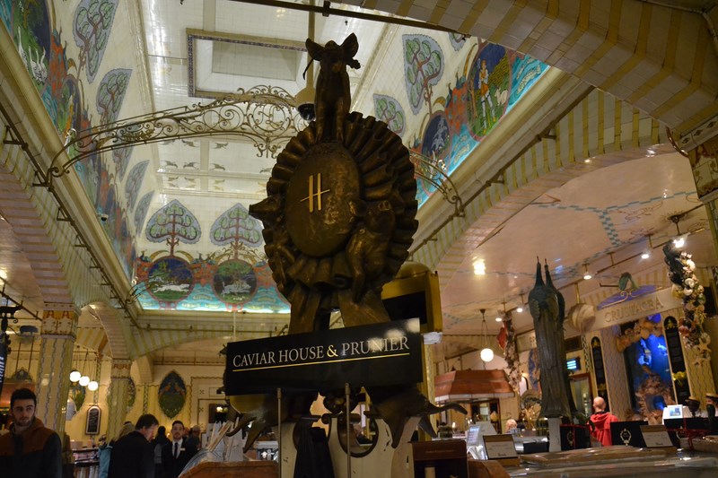 DSC_0672 (Kopiowanie).JPG