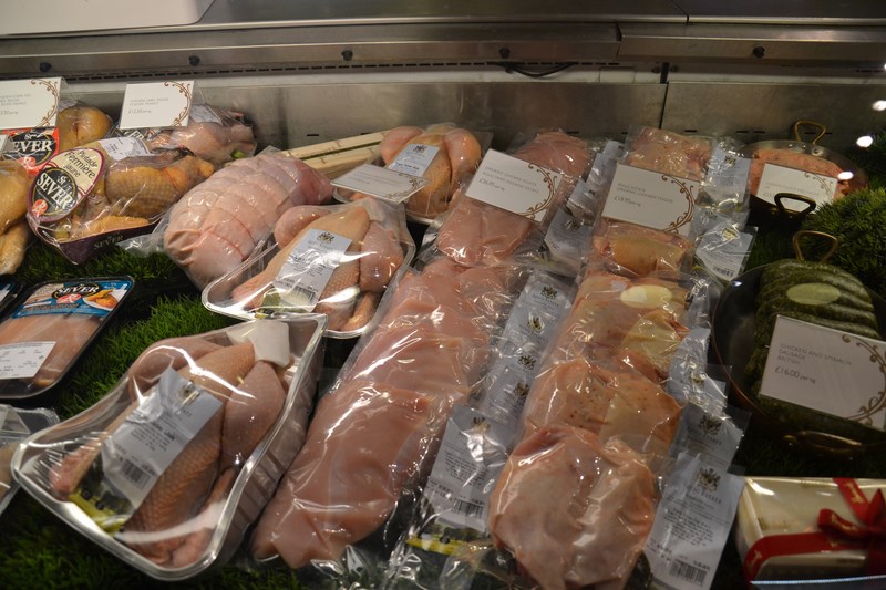 DSC_0673 (Kopiowanie).JPG