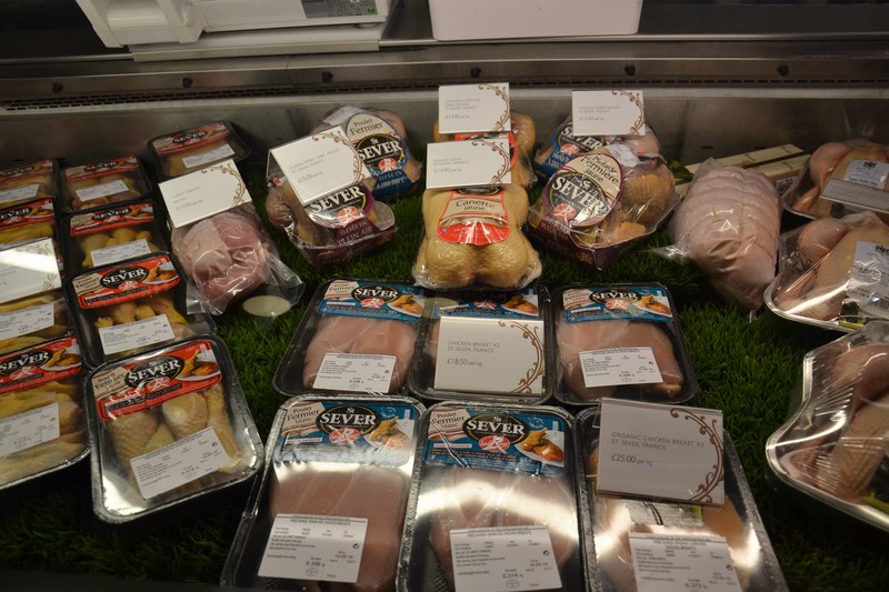 DSC_0674 (Kopiowanie).JPG