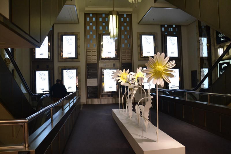 DSC_0696 (Kopiowanie).JPG