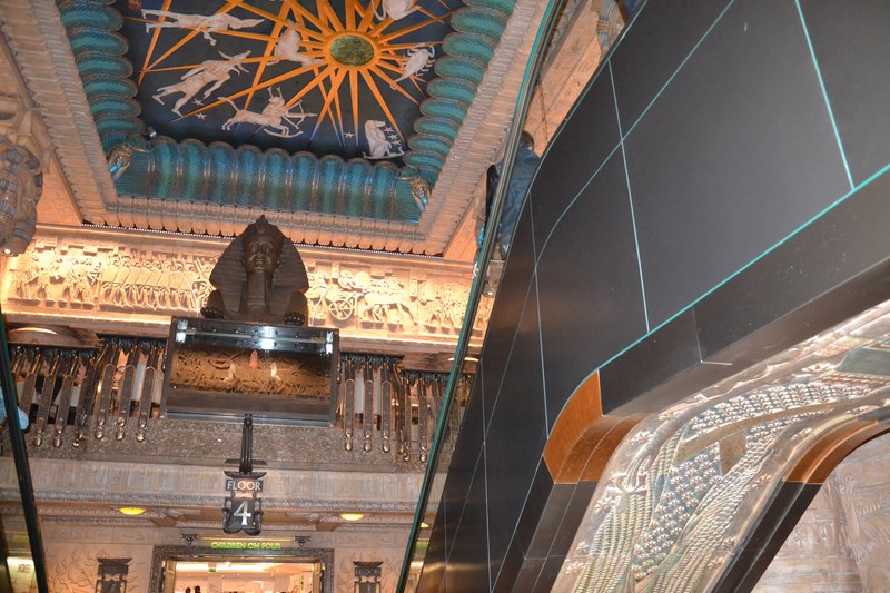 DSC_0709 (Kopiowanie).JPG