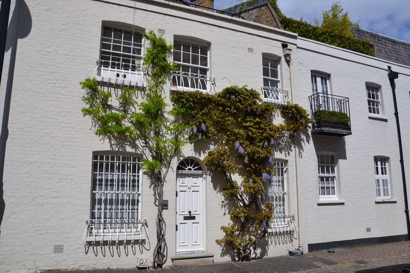 DSC_0765 (Kopiowanie).JPG