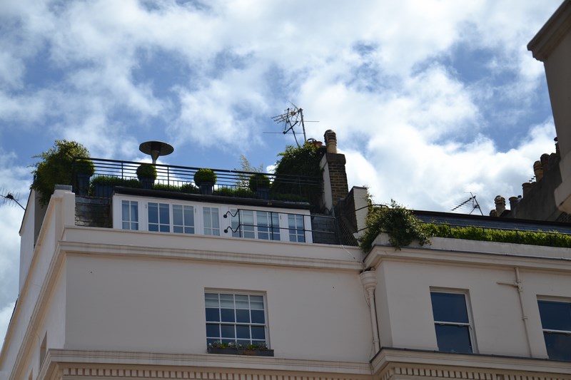 DSC_0782 (Kopiowanie).JPG