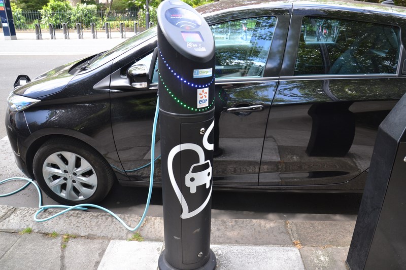 DSC_0787 (Kopiowanie).JPG