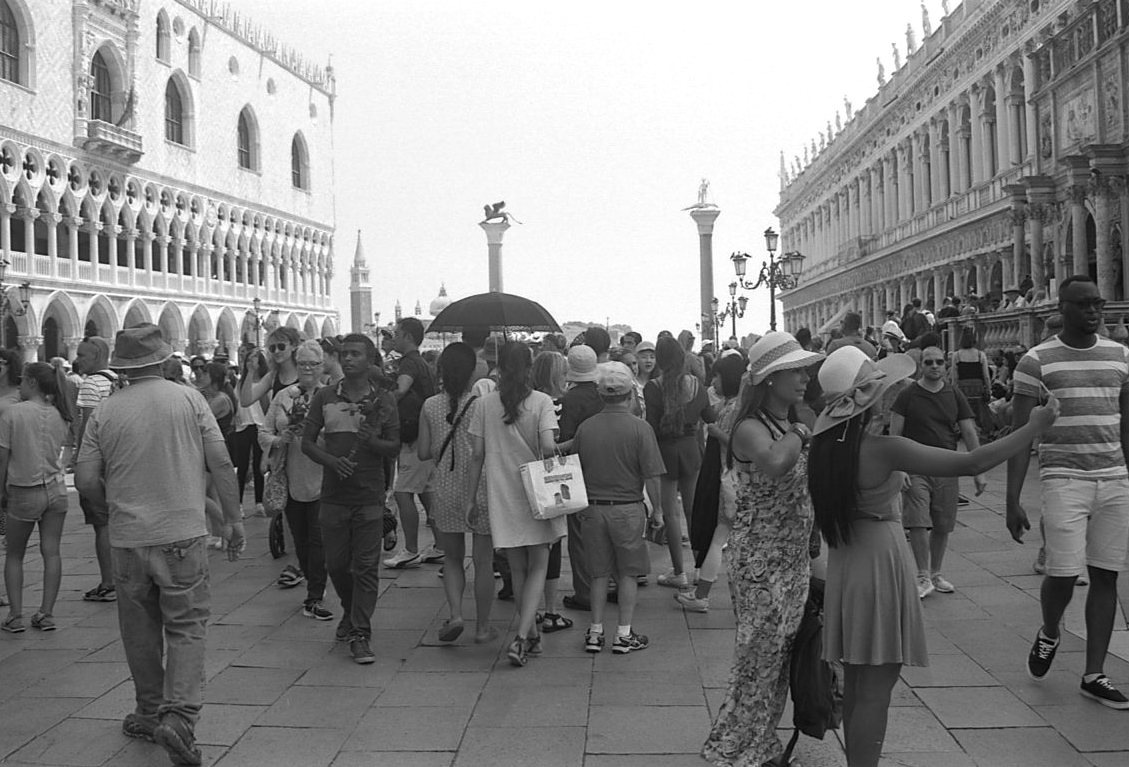 imigrant z rózą.jpg