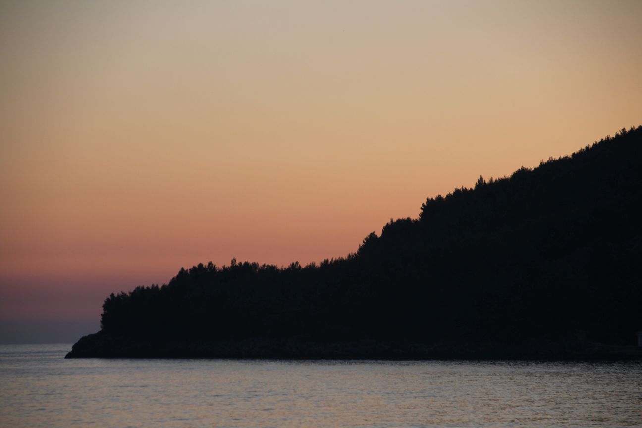 IMG_6591.JPG IMG_6591.JPG