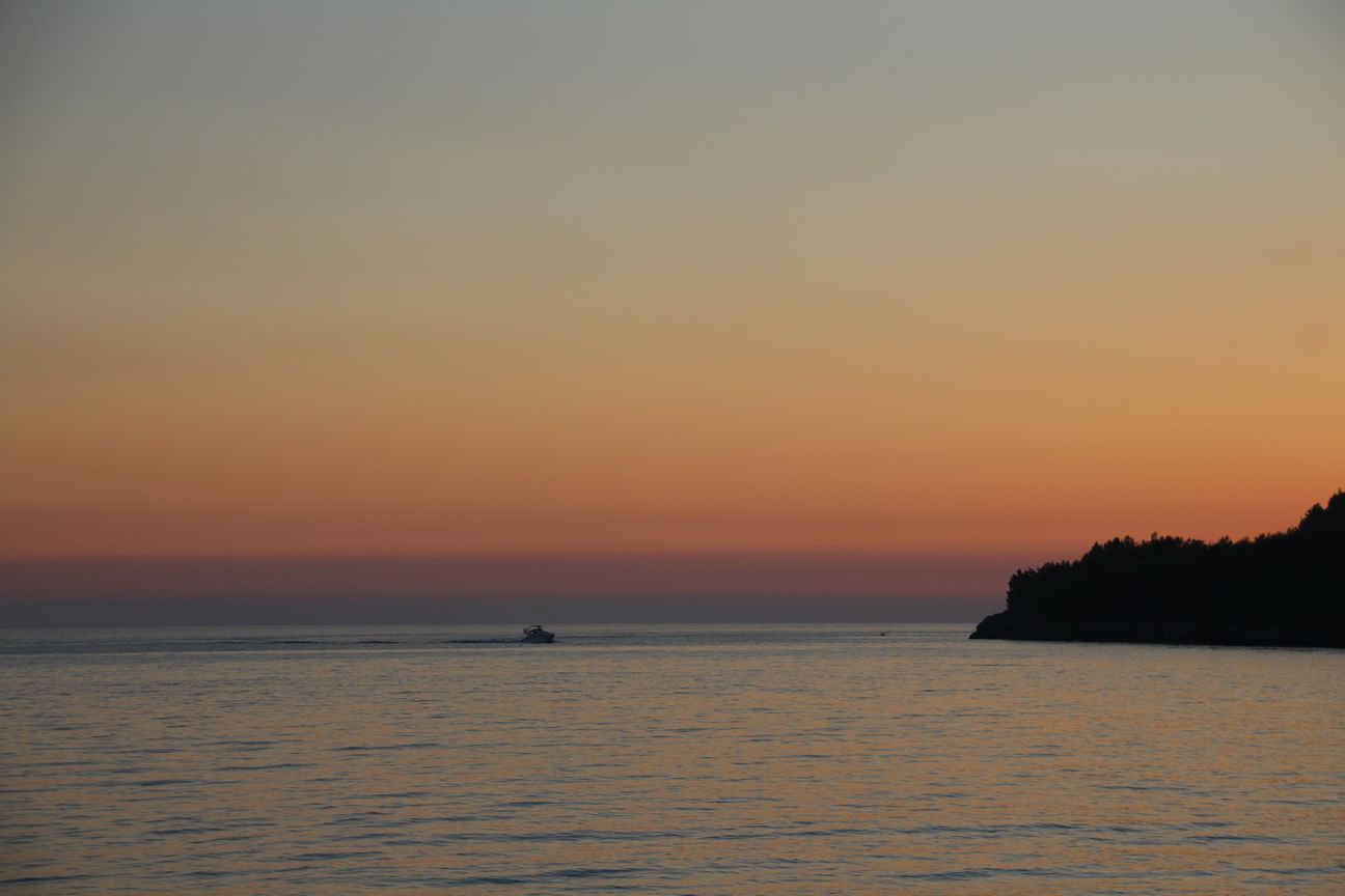 IMG_6593.JPG IMG_6593.JPG