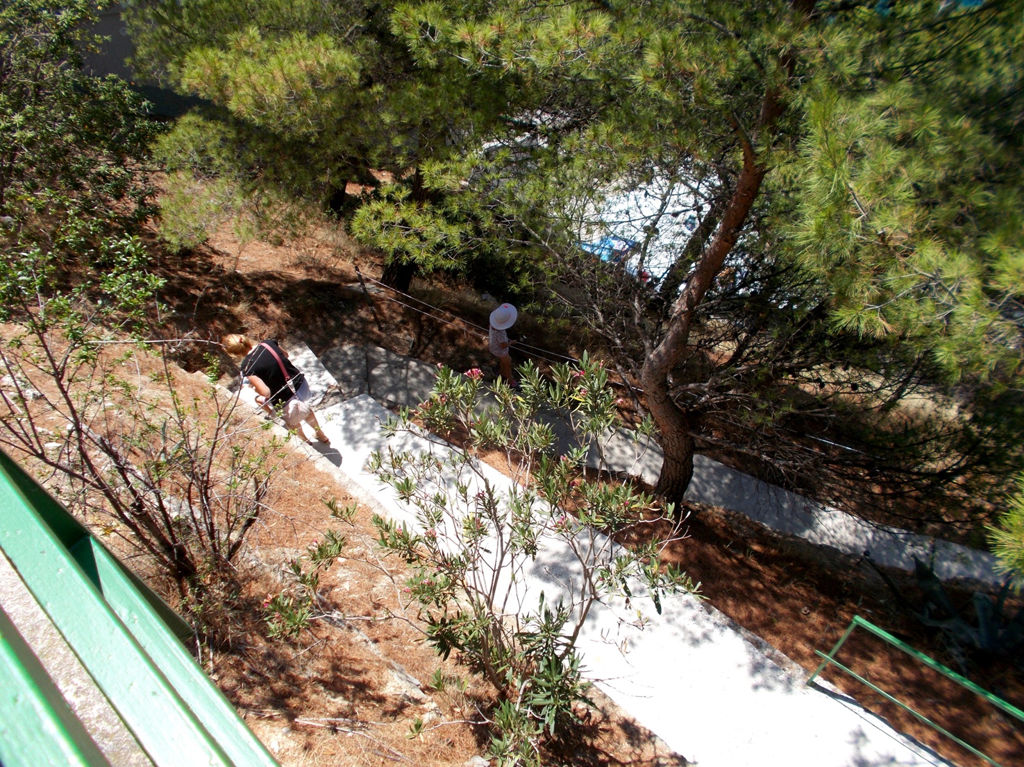 Pierwsze wrażenia organoleptyczne. / 10.JPG 10.JPG