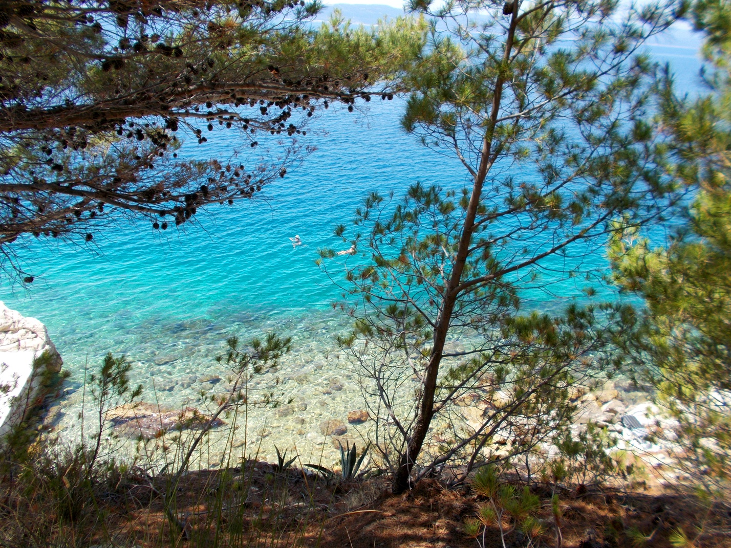 Drugie wrażenia organoleptyczne. / 11.JPG 11.JPG