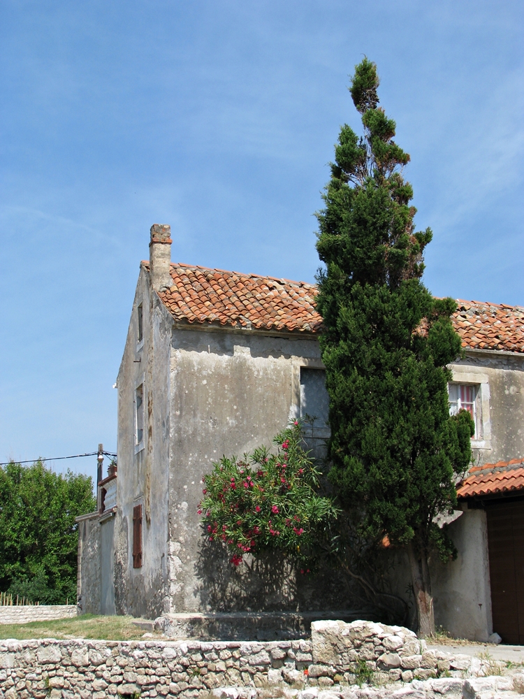 IMG_0440 — kopia.JPG