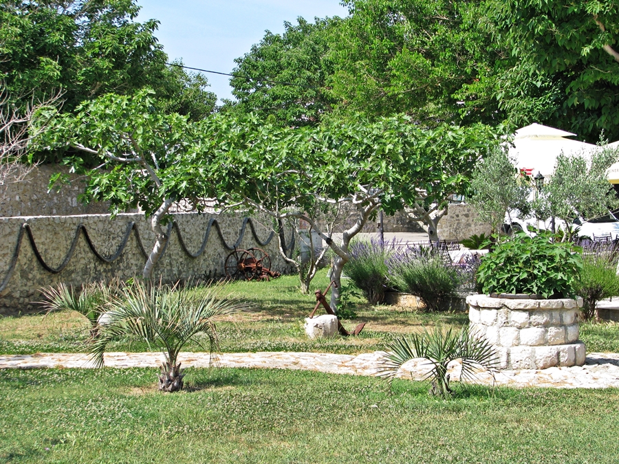 IMG_0435 — kopia.JPG