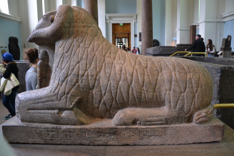 DSC_0964 (Kopiowanie).JPG