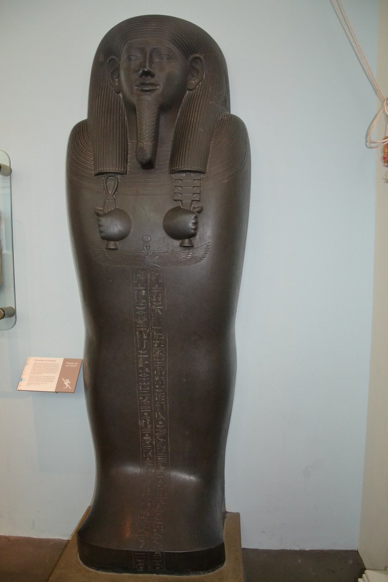 DSC_0972 (Kopiowanie).JPG