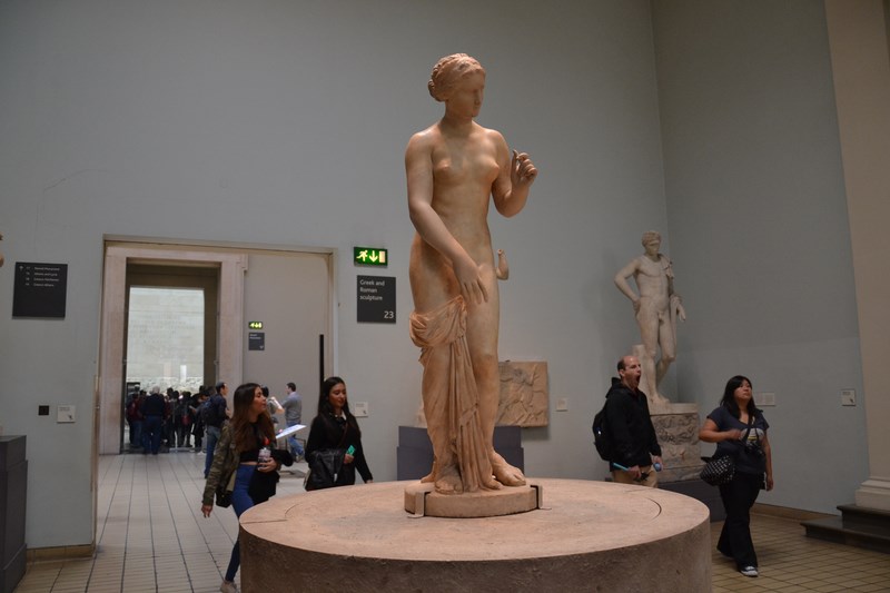 DSC_0995 (Kopiowanie).JPG