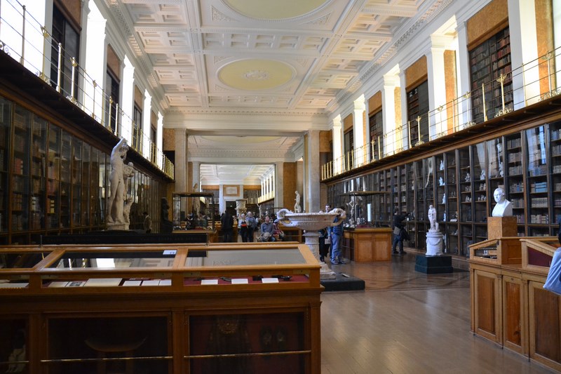 DSC_0005 (Kopiowanie).JPG