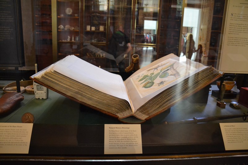 DSC_0010 (Kopiowanie).JPG