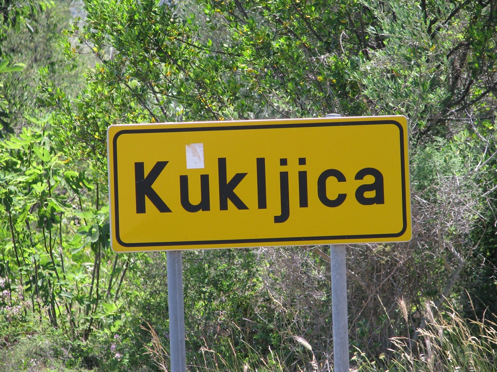 IMG_2673 — kopia.JPG