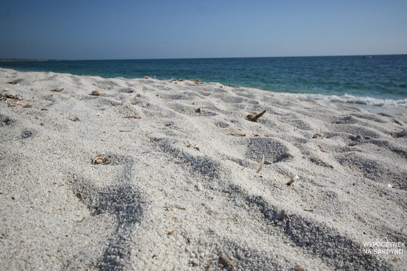 IMG_0913 (Kopiowanie).JPG