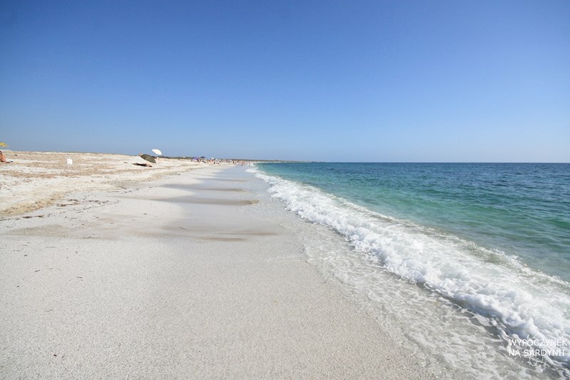 IMG_0914 (Kopiowanie).JPG