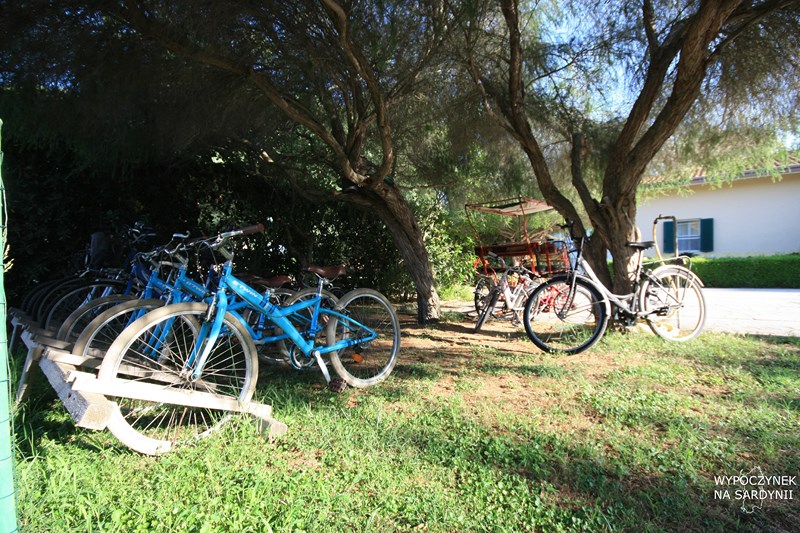 IMG_1345 (Kopiowanie).JPG