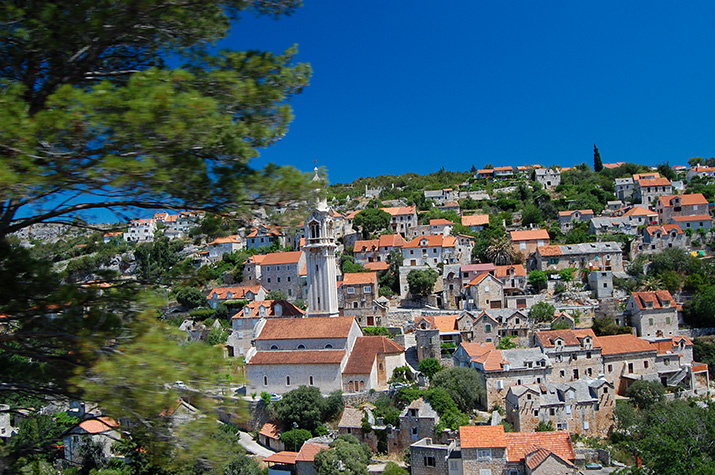 Lozisce / DSC_0645dd.jpg DSC_0645dd.jpg