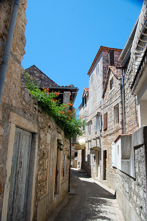 Milna / DSC_0666dd.jpg DSC_0666dd.jpg