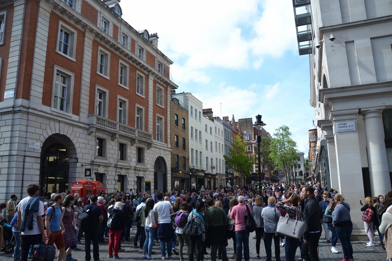 DSC_0071 (Kopiowanie).JPG