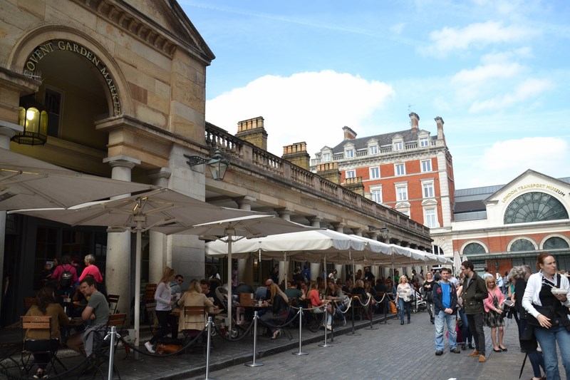 DSC_0086 (Kopiowanie).JPG