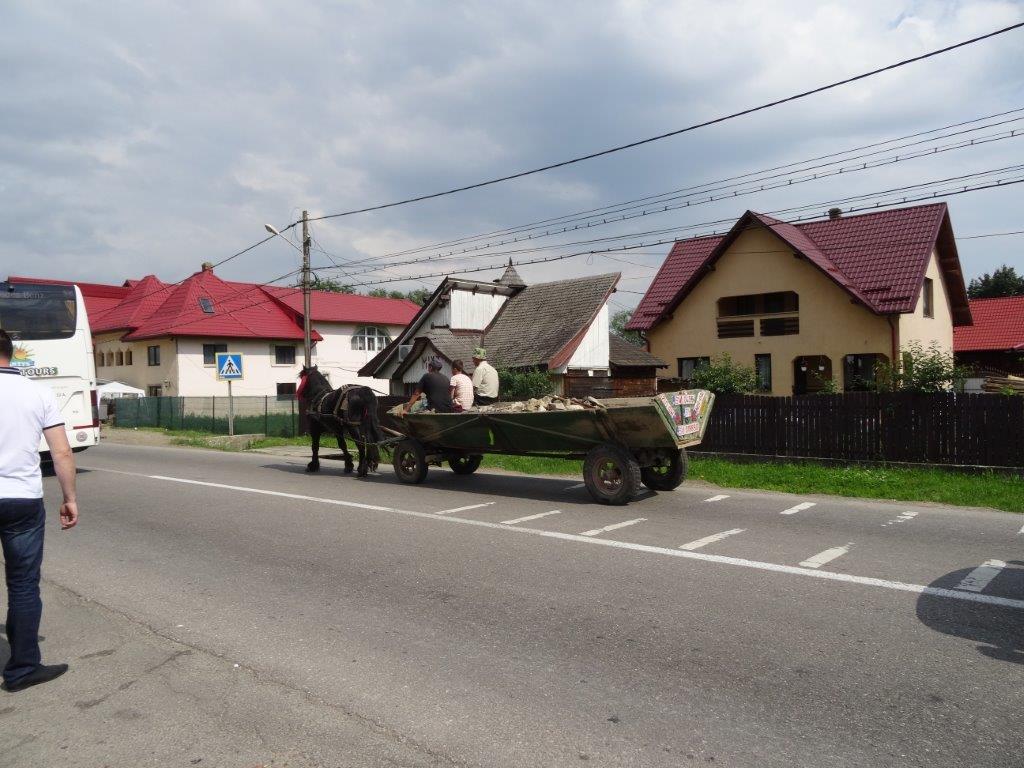819.jpg