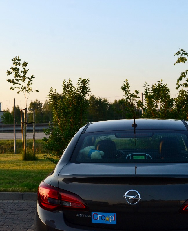 Cropelka z Opelka / Cropelka z Opelka (649x800).jpg Cropelka z Opelka (649x800).jpg