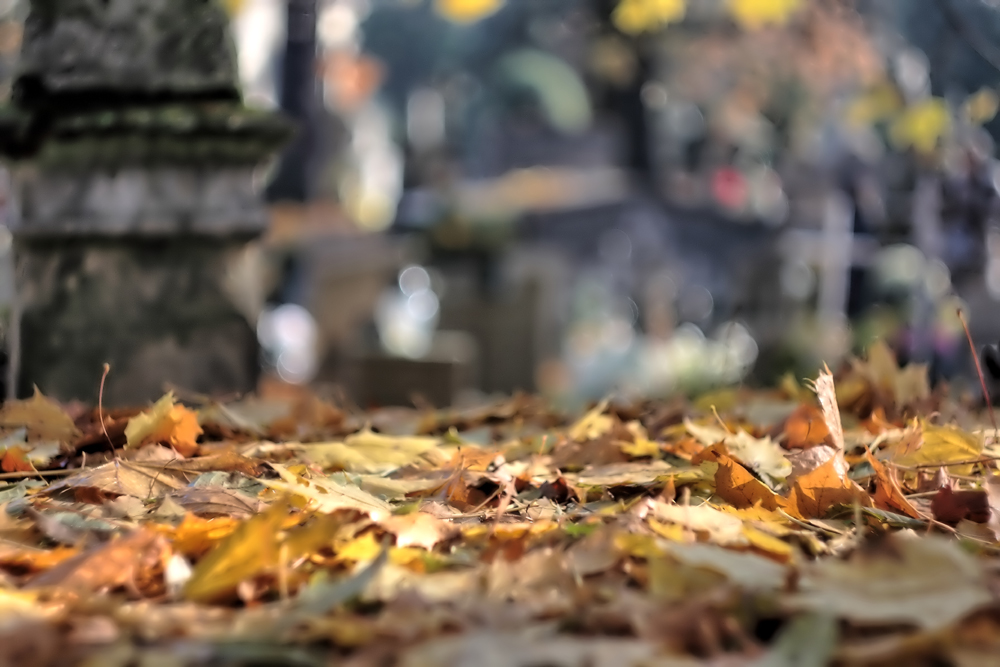 IMG_3657_easyHDR-PRO-2 kopia.jpg