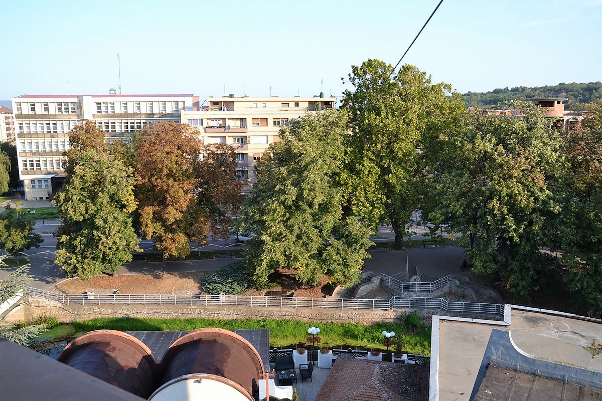 DSC_0008 (Kopiowanie).JPG