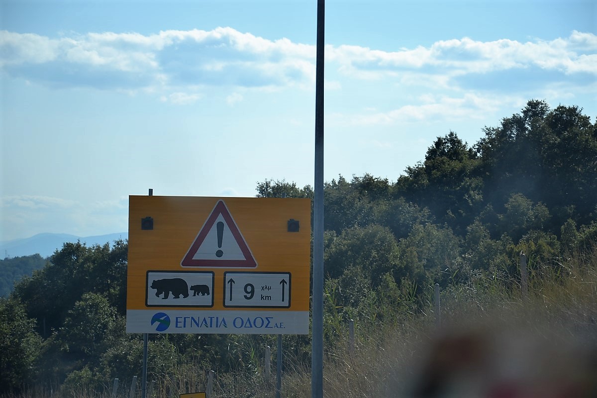 DSC_0029 (Kopiowanie).JPG