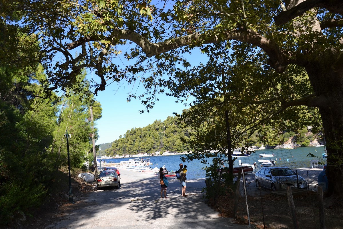 DSC_0404 (Kopiowanie).JPG