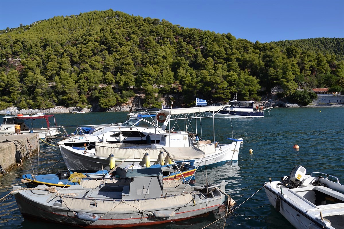 DSC_0414 (Kopiowanie).JPG